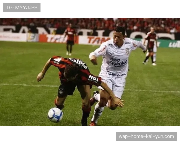 巴甲联赛主胜率接近五成 极致主场优势成赛事显著特征